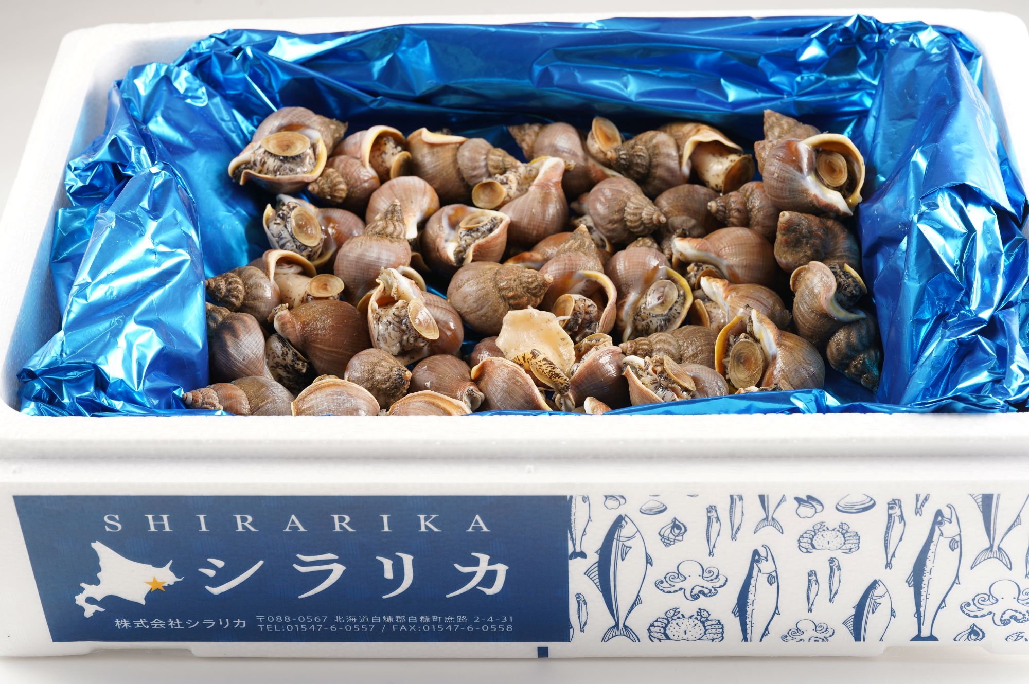 活イソツブ