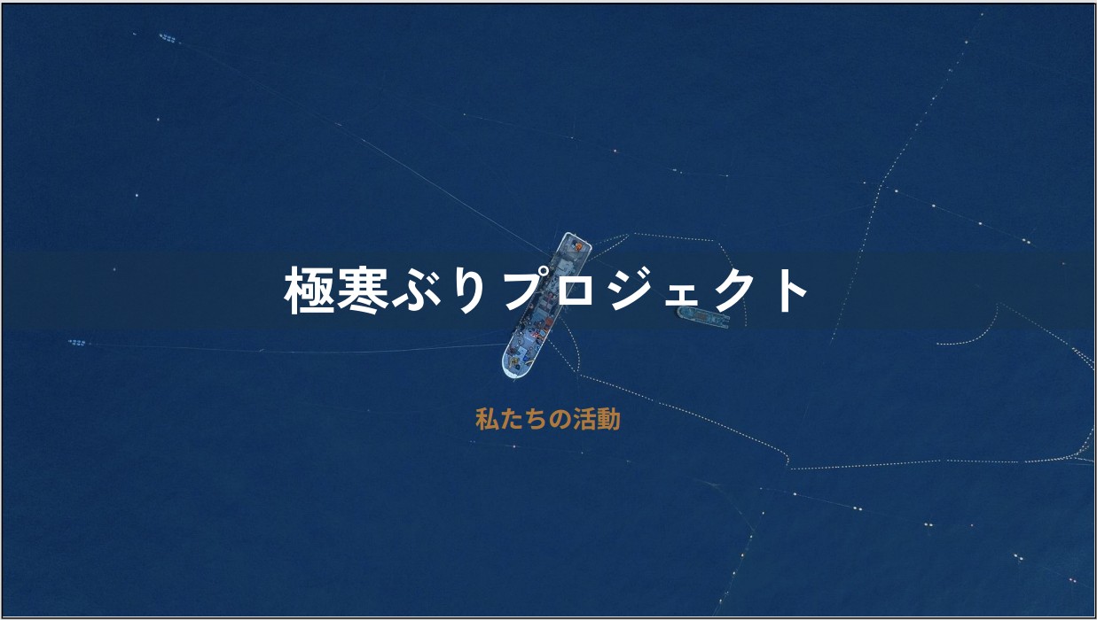 プロジェクト