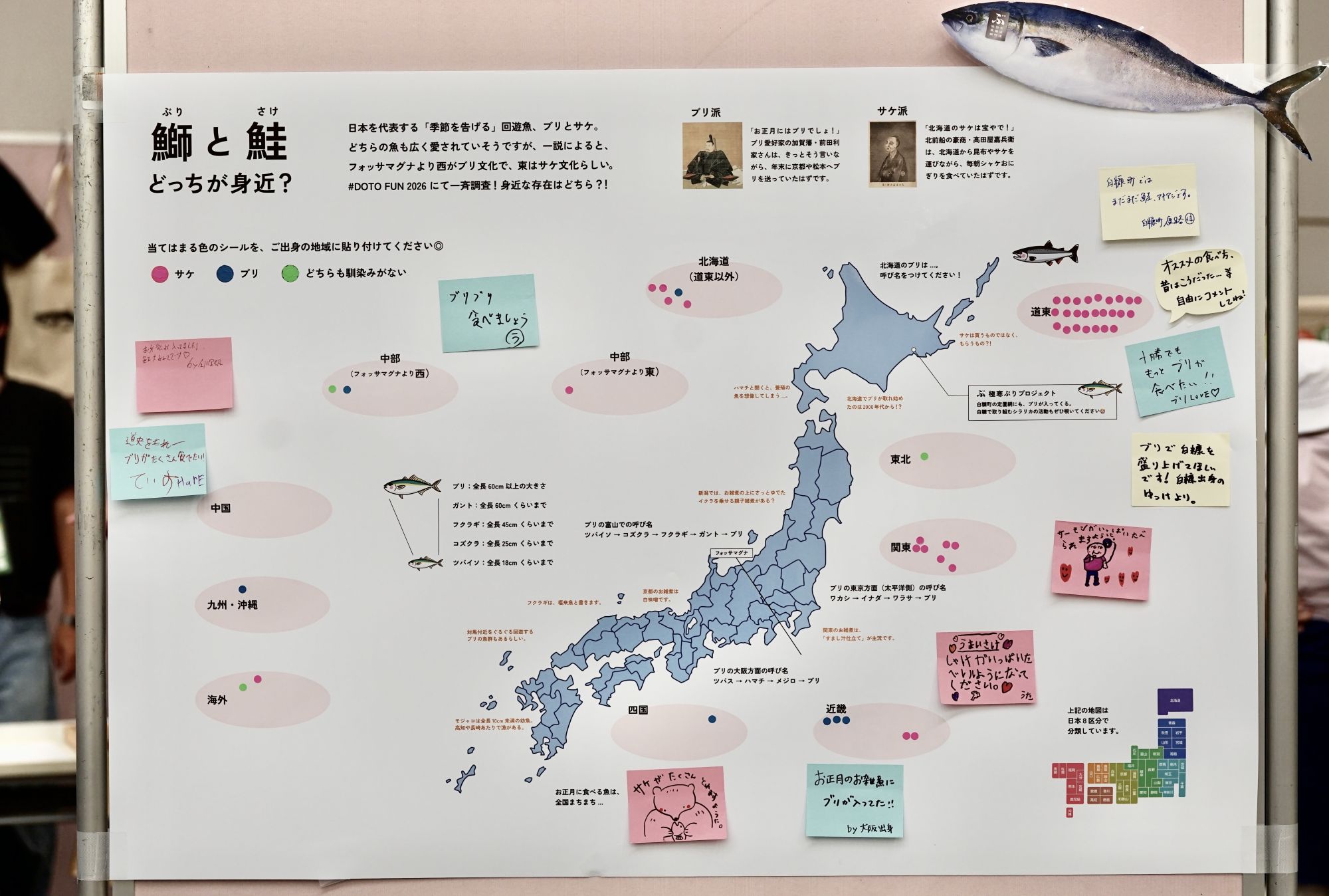 「鰤と鮭どっちが身近？」投票ボード