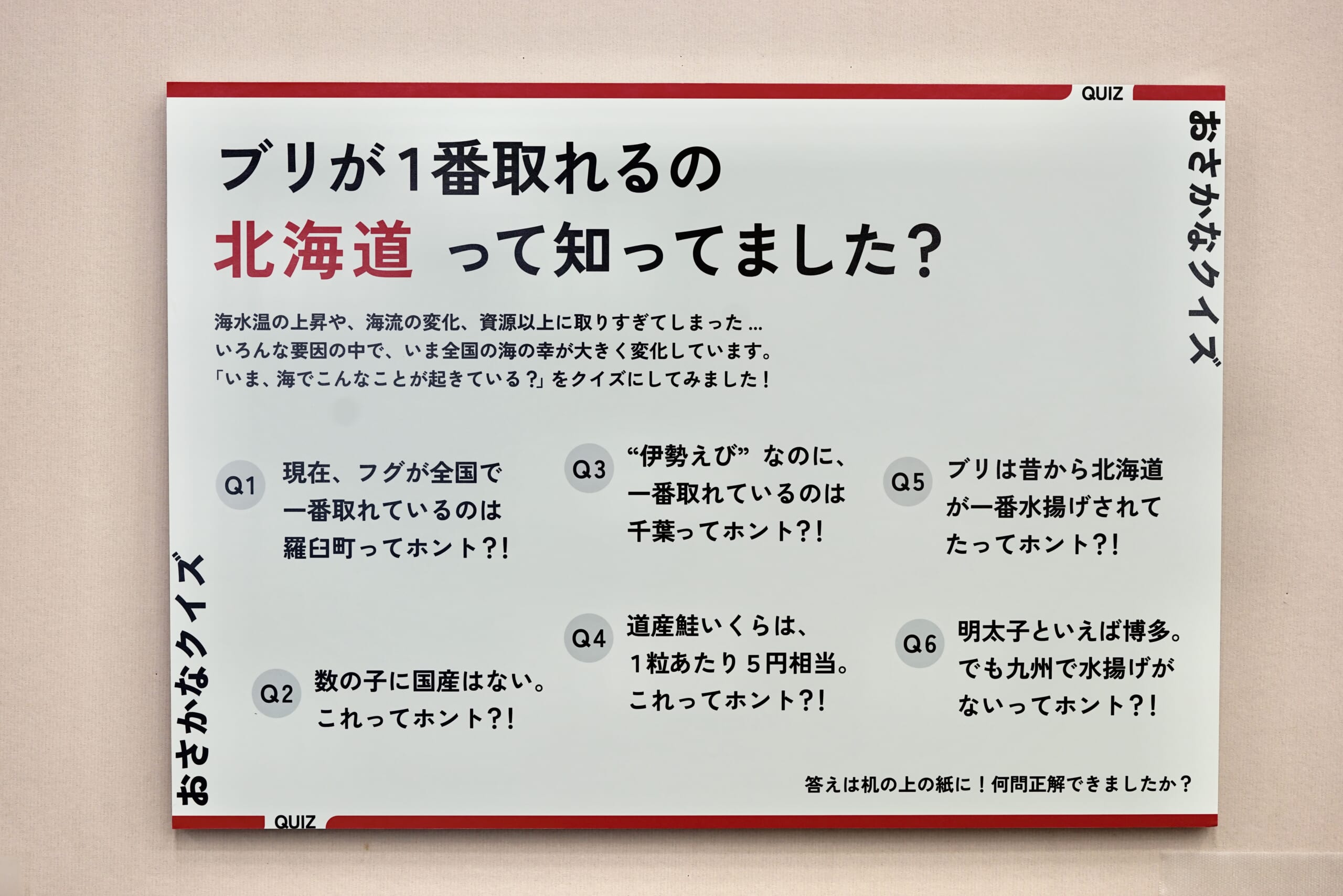お魚クイズのパネル